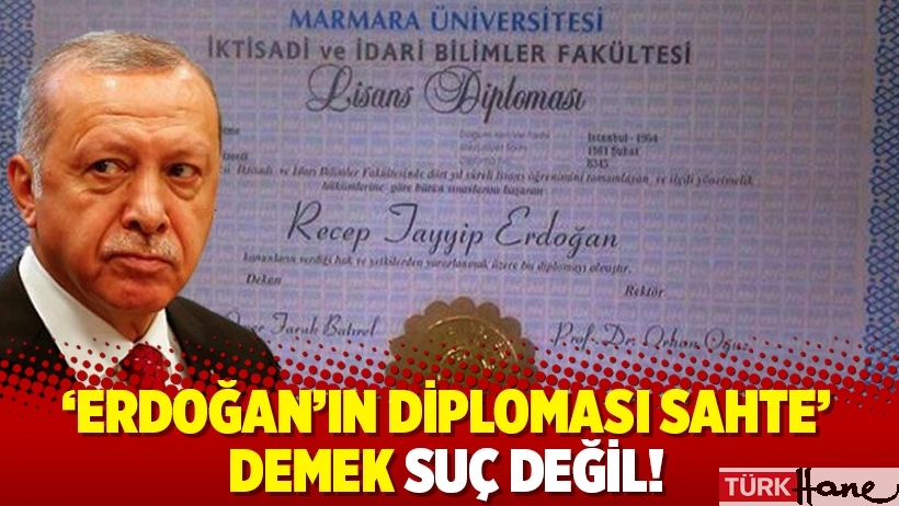 Mahkeme gerekçeli kararını açıkladı: 'Erdoğan'ın diploması sahte' demek suç değil