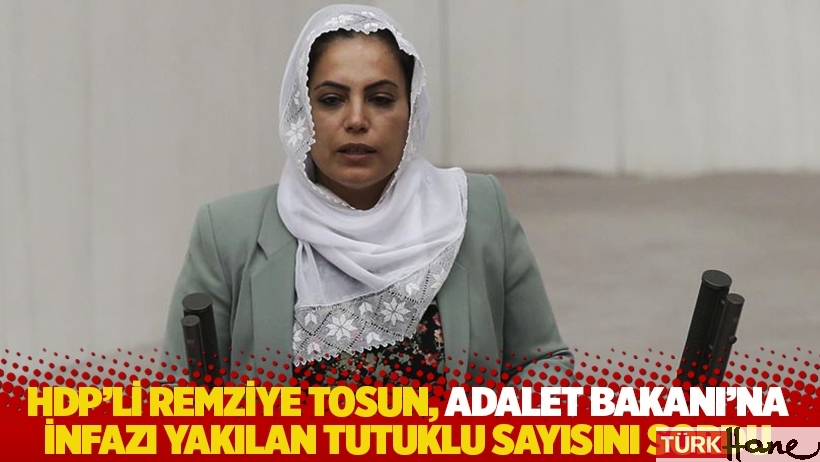 HDP'li Remziye Tosun, Adalet Bakanı'na infazı yakılan tutuklu sayısını sordu