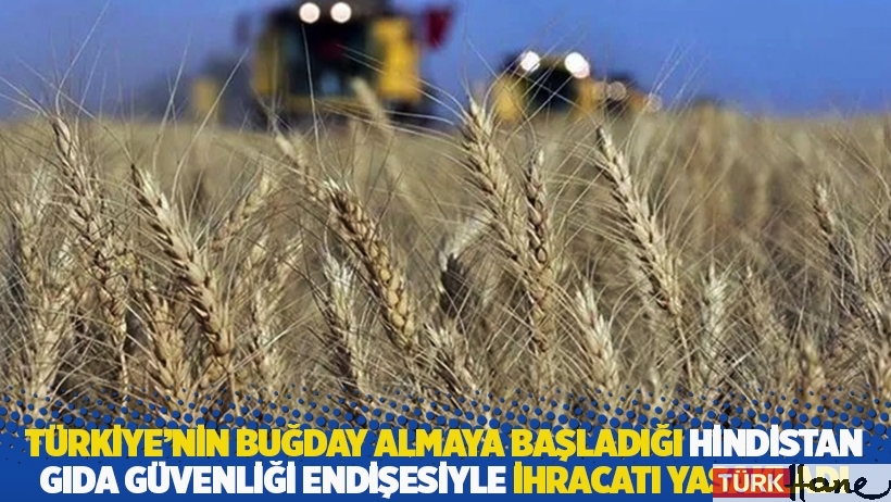 Türkiye’nin buğday almaya başladığı Hindistan, gıda güvenliği endişesiyle ihracatı yasakladı