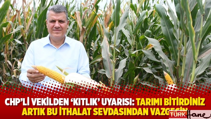 CHP'li vekilden 'kıtlık' uyarısı: Tarımı bitirdiniz artık bu ithalat sevdasından vazgeçin