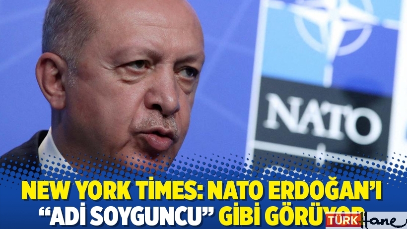 New York Times: NATO Erdoğan’ı “adi soyguncu” gibi görüyor