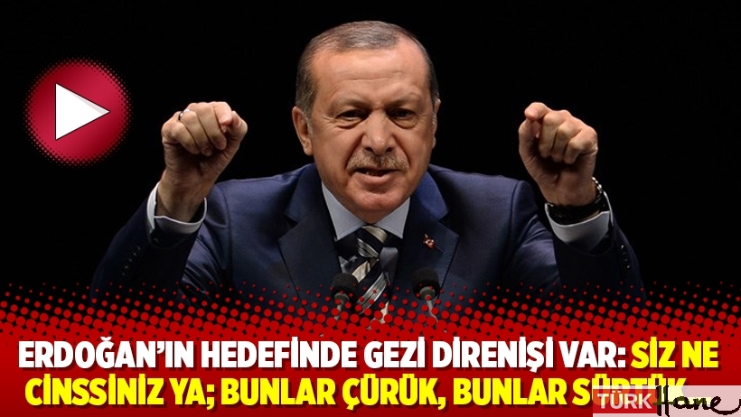Erdoğan'ın hedefinde Gezi direnişi var: Siz ne cinssiniz ya; bunlar çürük, bunlar sürtük…