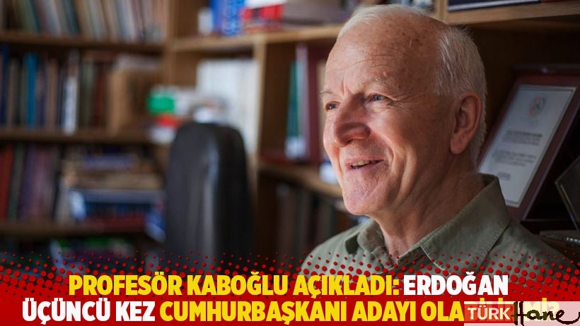 Profesör Kaboğlu açıkladı: Erdoğan üçüncü kez Cumhurbaşkanı adayı olabilir mi?