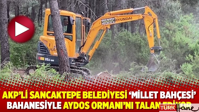 AKP’li Sancaktepe Belediyesi ‘millet bahçesi’ bahanesiyle Aydos Ormanı’nı talan ediyor