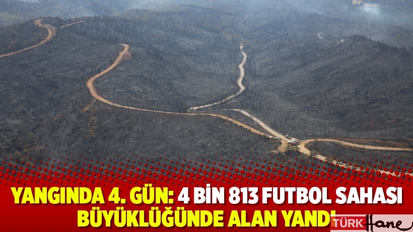 Yangında 4. gün: 4 bin 813 futbol sahası büyüklüğünde alan yandı