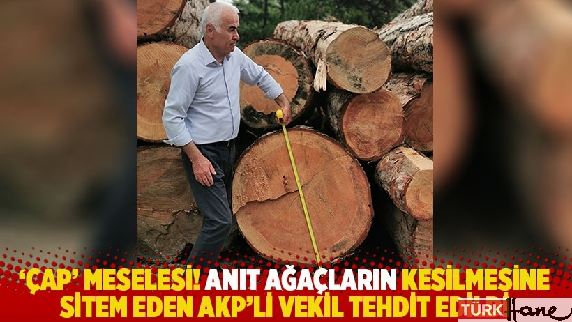 'Çap' meselesi! Anıt ağaçların kesilmesine sitem eden AKP’li vekil tehdit edildi