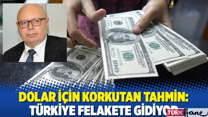 Dolar için korkutan tahmin: Türkiye felakete gidiyor