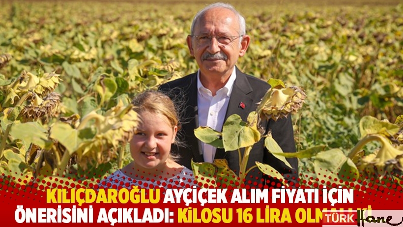 Kılıçdaroğlu ayçiçek alım fiyatı için önerisini açıkladı: Kilosu 16 lira olmalı ki...