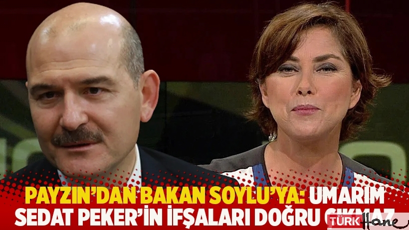 Payzın'dan Soylu'ya: Umarım Sedat Peker'in ifşaları doğru çıkmaz