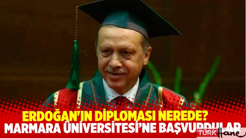 Erdoğan'ın diplomasıyla ilgili yeni girişim