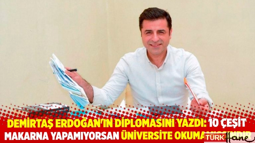 Demirtaş Erdoğan'ın diplomasını yazdı: 10 çeşit makarna yapamıyorsan üniversite okumamışsındır