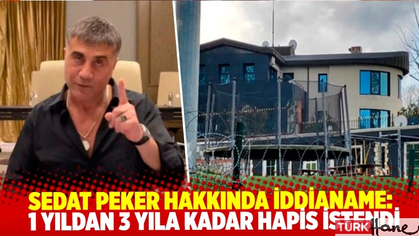 Sedat Peker hakkında iddianame hazırlandı: 1 yıldan 3 yıla kadar hapis istendi