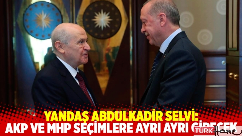 Yandaş Abdulkadir Selvi: AKP ve MHP seçimlere ayrı ayrı girecek