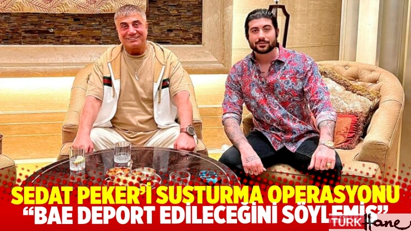 “Birleşik Arap Emirlikleri, Sedat Peker’e deport edileceğini söylemiş”