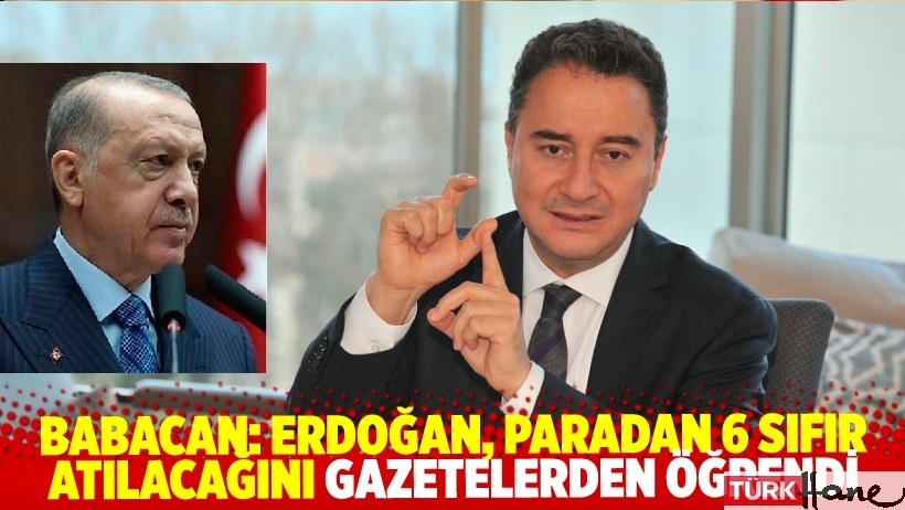 Babacan: Erdoğan, paradan 6 sıfır atılacağını gazetelerden öğrendi