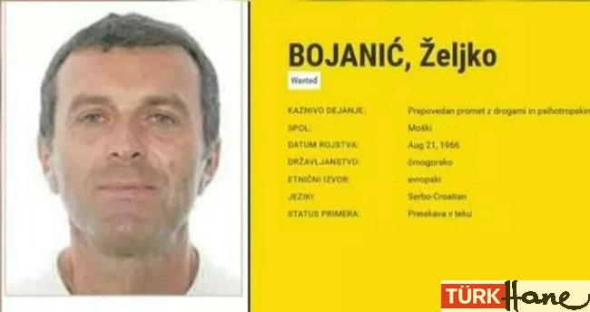 Sırp çete lideri Zeljko Bojanic İstanbul’da yakalandı
