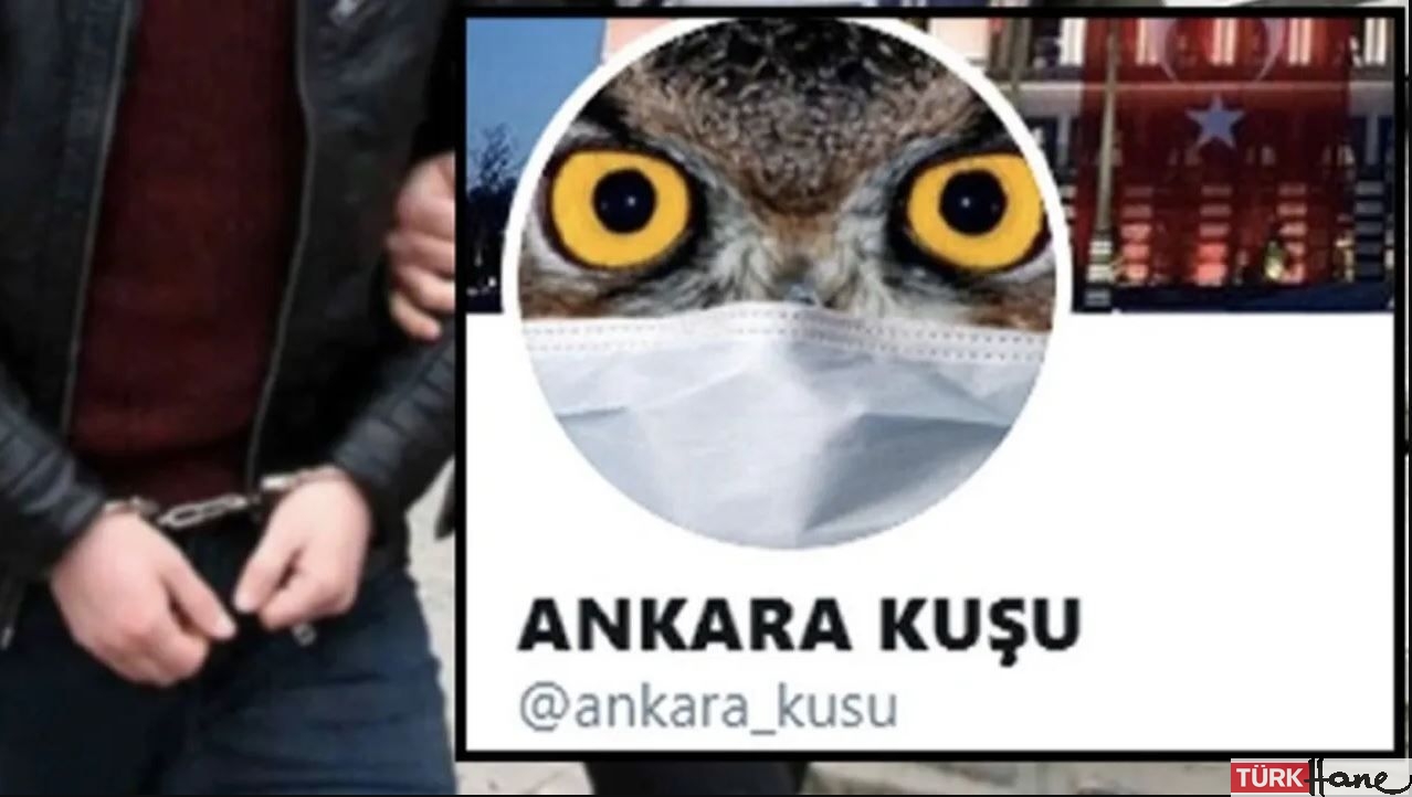 ‘Ankara Kuşu’ adlı Twitter hesabının kullanıcısı tutuklandı