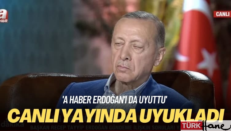 ‘A Haber Erdoğan’ı da uyuttu’ Canlı yayında uyukladı