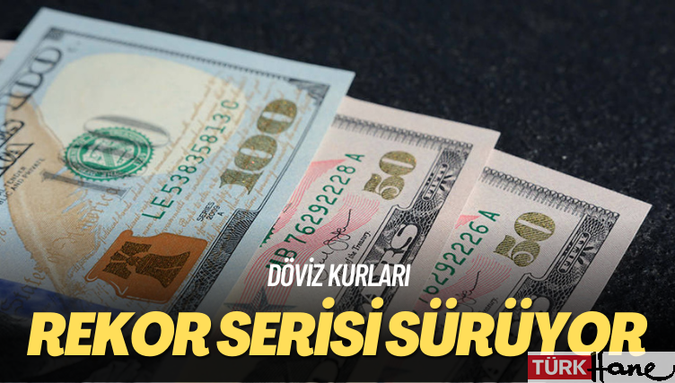 Döviz kurları: Rekor serisi sürüyor