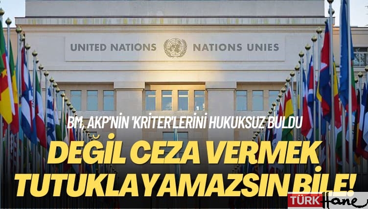 BM, AKP’nin ‘kriter’lerini hukuksuz buldu:  Değil ceza vermek tutuklayamazsın bile