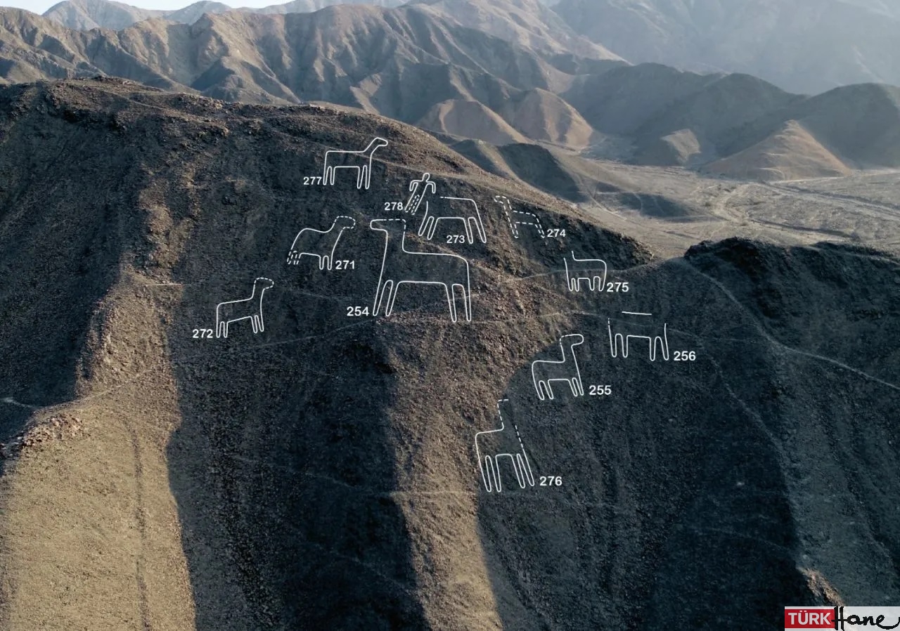 Yapay zeka keşfetti: Peru çölünde gizlenen Nazca çizgileri