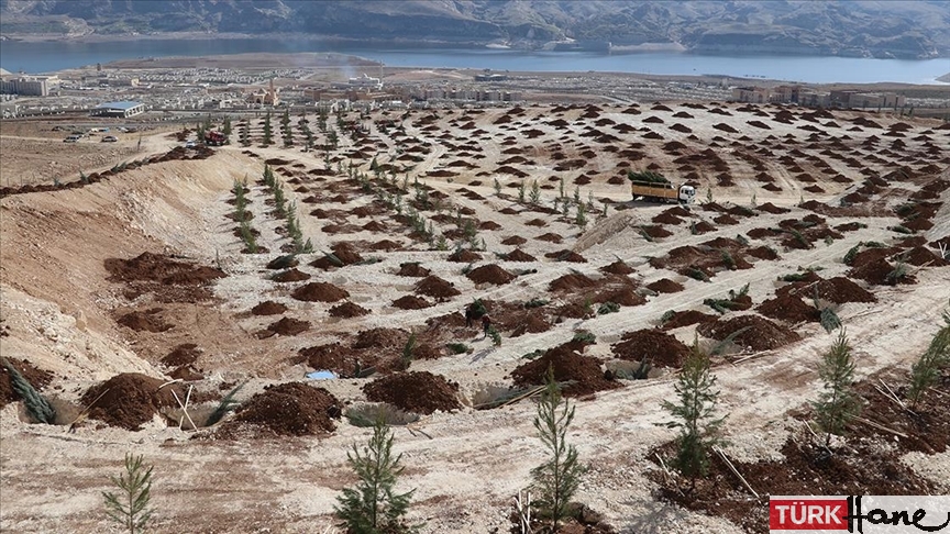 Türkiye’nin dörtte üçü çölleşiyor