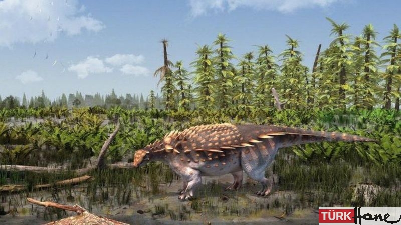 Vectipelta baretti: Yeni bir dinozor türü keşfedildi