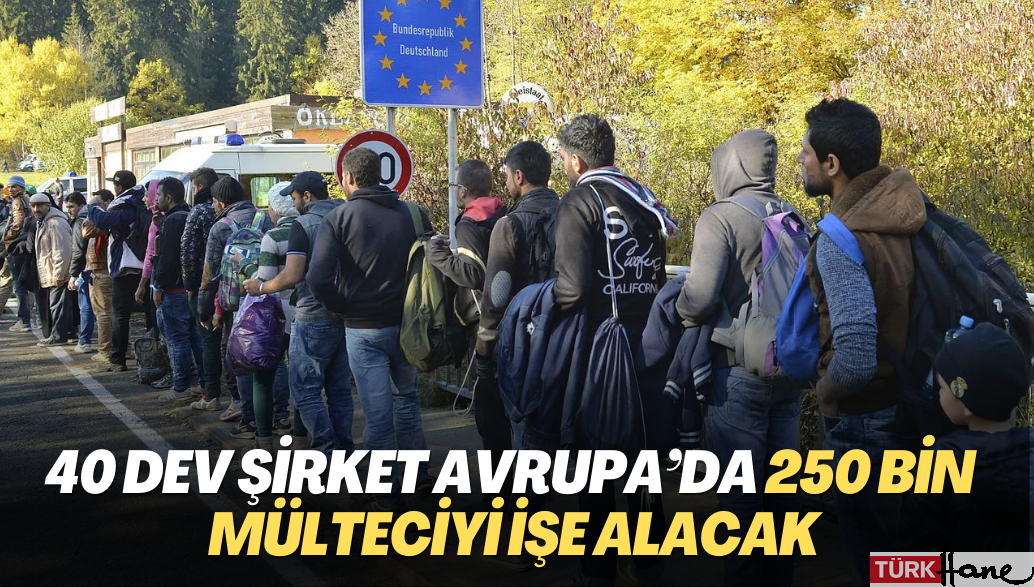 40 dev şirket Avrupa’da 250 bin mülteciyi işe alacak