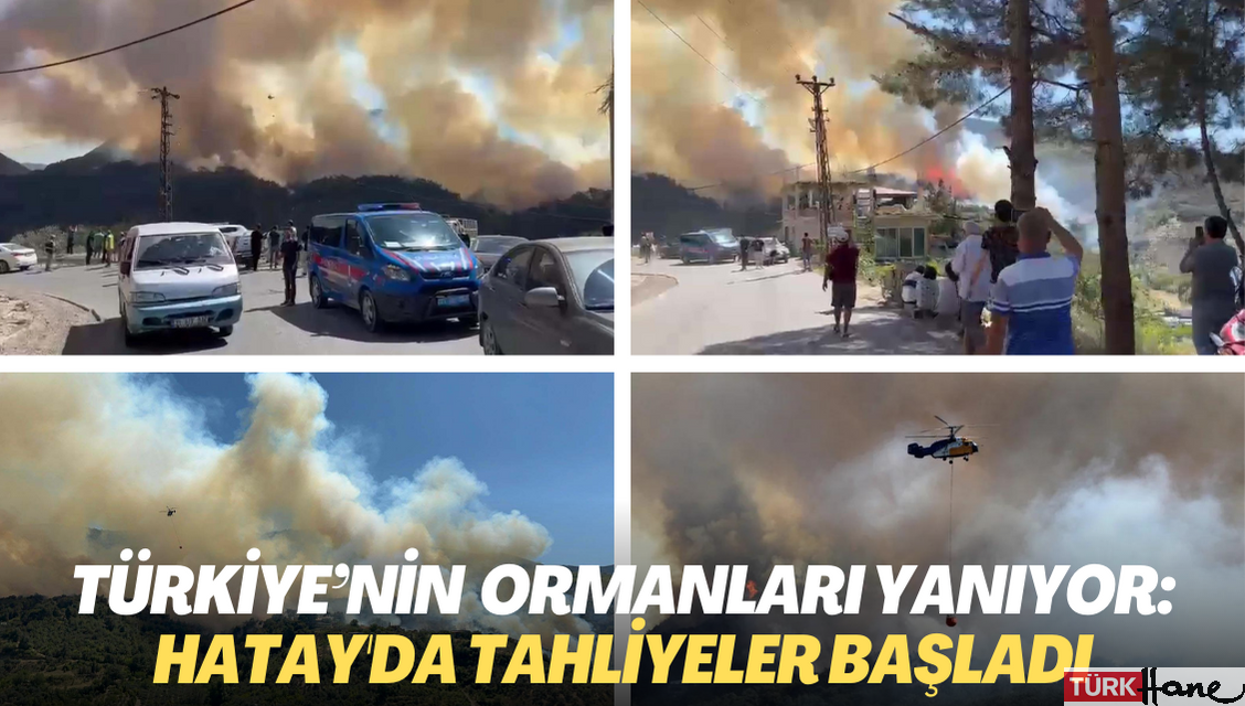Türkiye’nin dört bir yanında orman yangını: Alevlerin evlere sıçradığı Hatay’da tahliyeler başladı