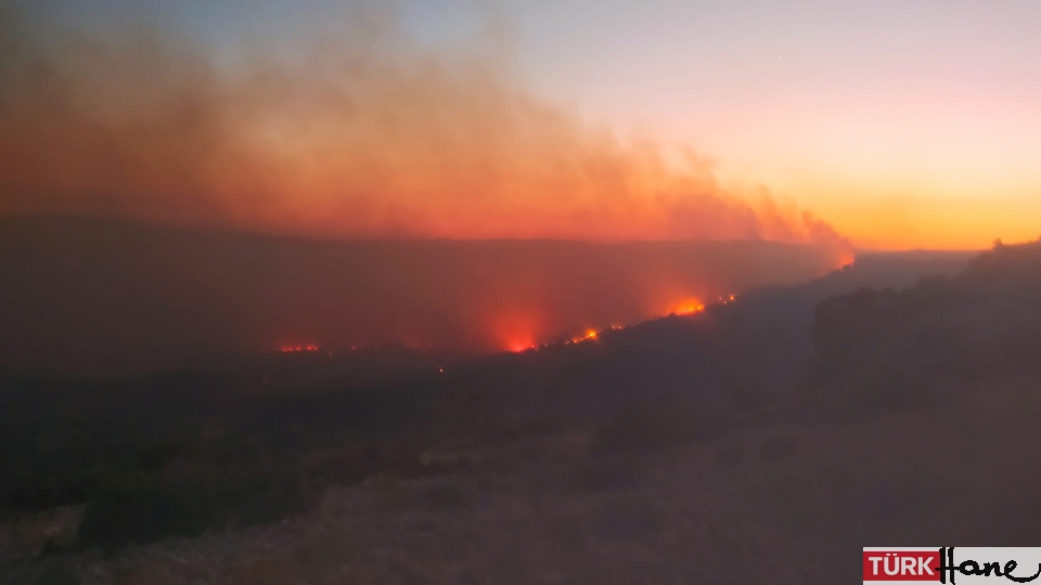 Üç kentte orman yangınları sürüyor
