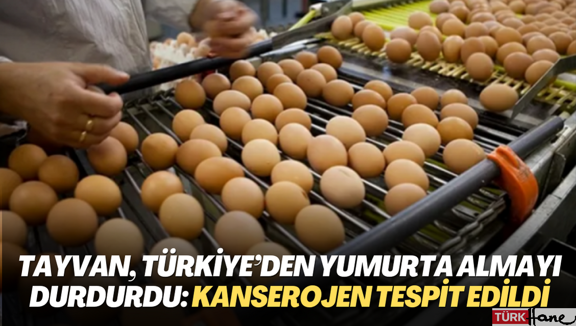 Tayvan, Türkiye’den yumurta almayı durdurdu: Kanserojen madde tespit edildi