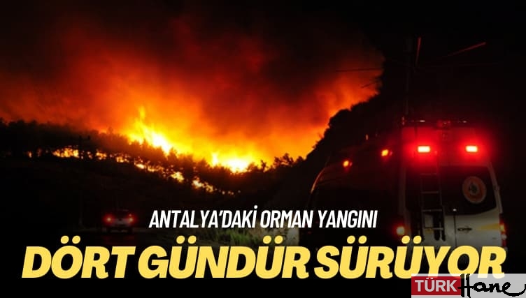 Antalya’daki orman yangını: Dört gündür sürüyor