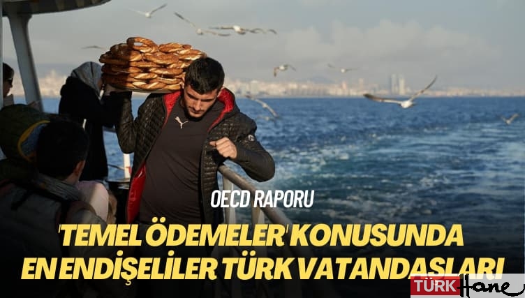 OECD raporu: ‘Temel ödemeler’ konusunda en endişeliler Türk vatandaşları