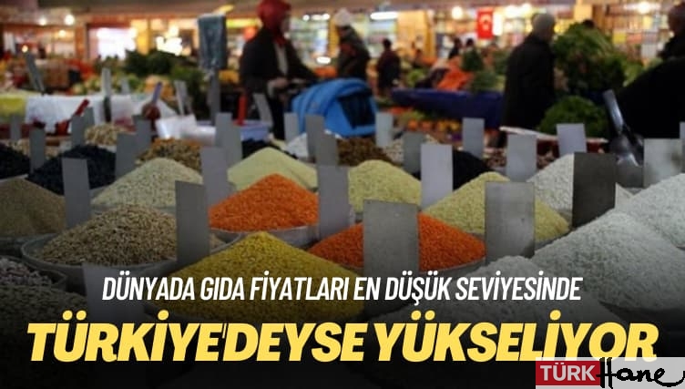Dünyada gıda fiyatları en düşük seviyesinde: Türkiye’deyse yükseliyor