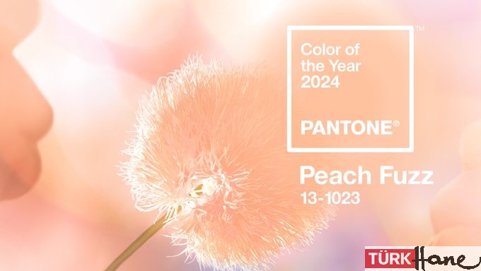 Pantone 2024’ün rengini belirledi