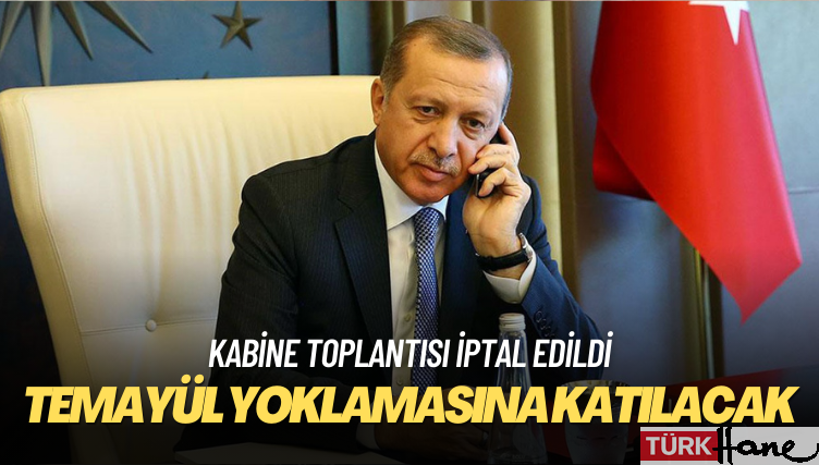 Kabine toplantısı iptal edildi: Erdoğan temayül yoklamasına katılacak