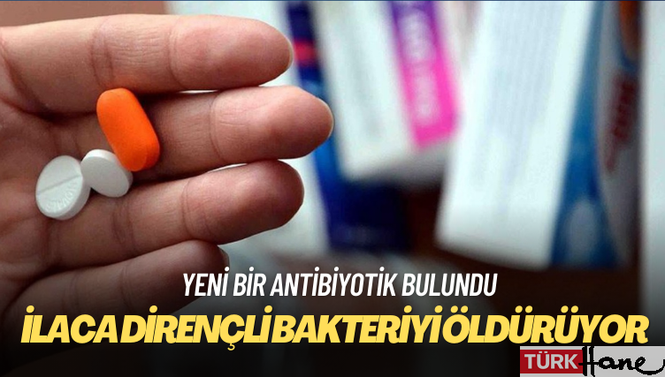 İlaca dirençli bakteriyi öldüren antibiyotik bulundu