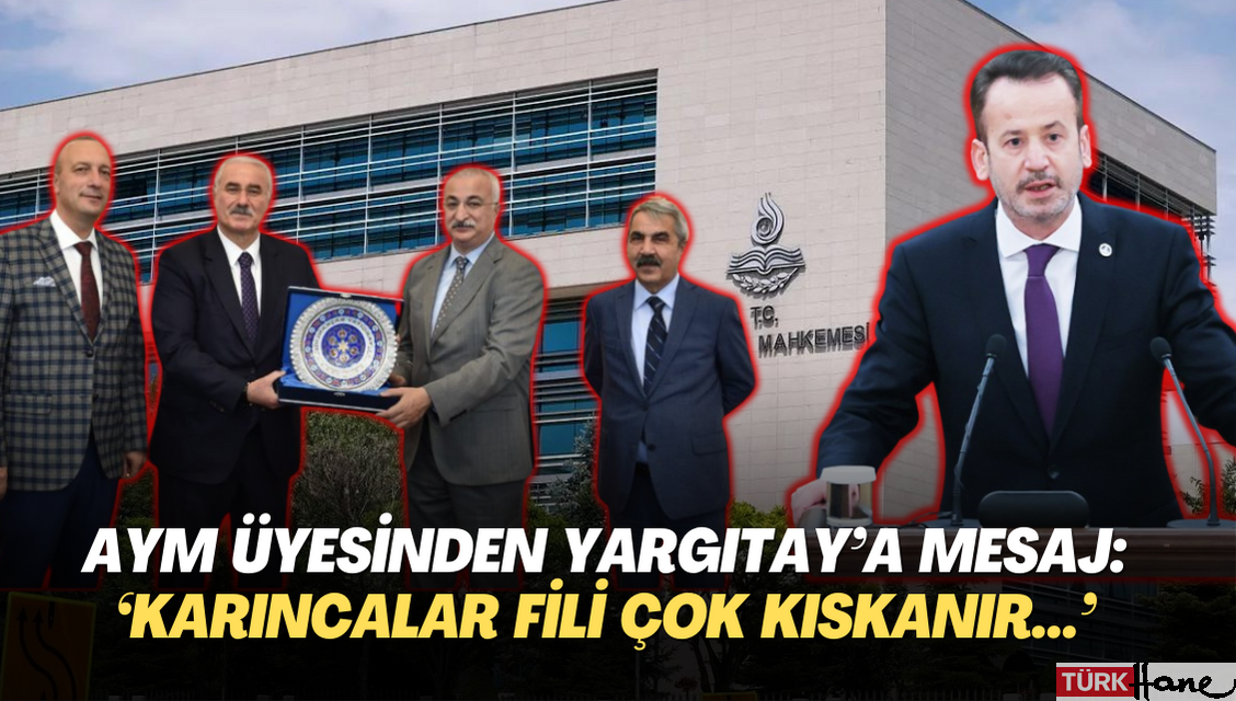 AYM üyesinden Yargıtay’a gönderme: ‘Karıncalar fili çok kıskanır…’