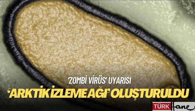 Bilim insanlarından ‘zombi virüs’ uyarısı