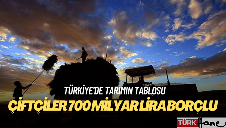 Türkiye’de tarımın tablosu: Çiftçiler 700 milyar lira borçlu