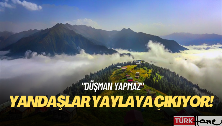 Trabzon’da iki yayla önce turizm bölgesinden çıkarıldı sonra altın madencilerine satıldı