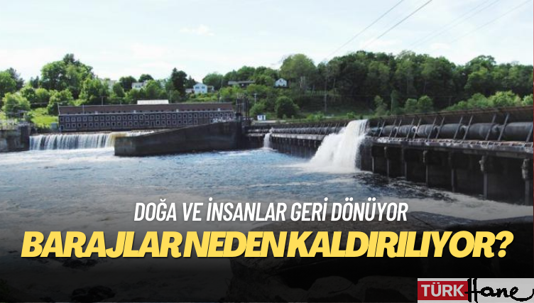 Avrupa’da nehirler üzerindeki barajlar neden kaldırılıyor?