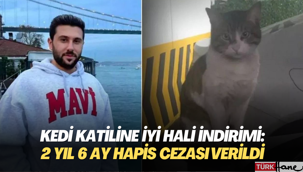 Kedi katiline iyi hali indirimi: 2 yıl 6 ay hapis cezası