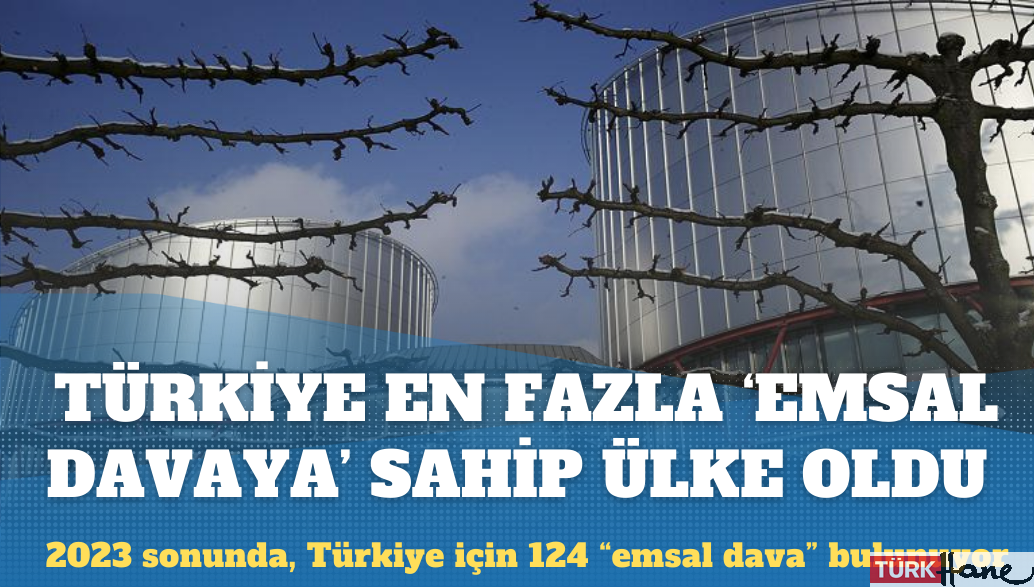 AİHM’de ’emsal karar’ oluşturulan davalarda Türkiye ilk sırada