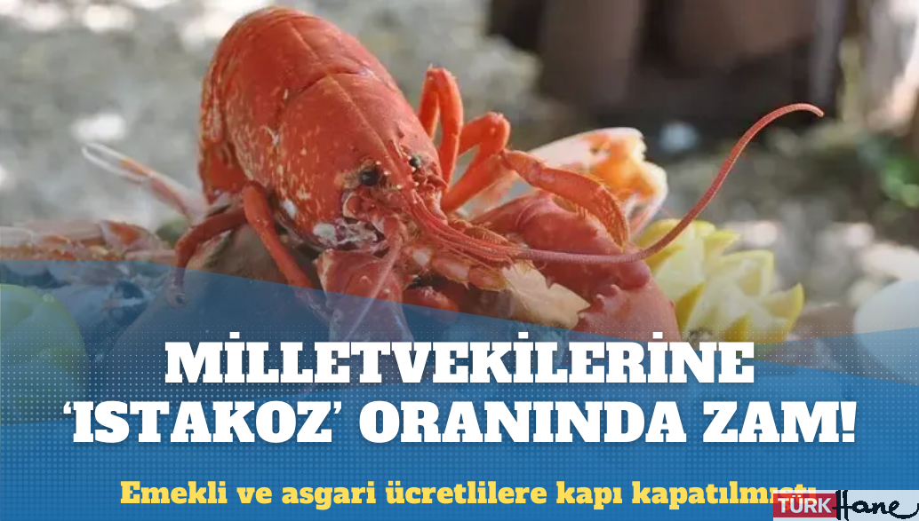 Milletvekillerine ‘ıstakoz’ oranında zam!