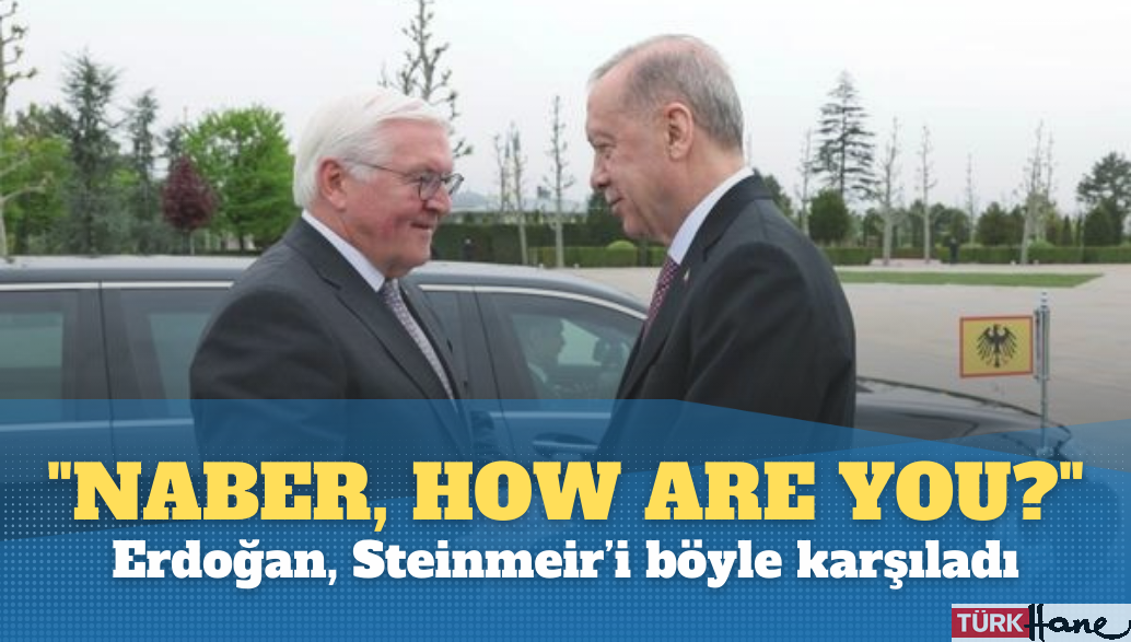 “Naber, How Are You?” Erdoğan, Steinmeir’i böyle karşıladı
