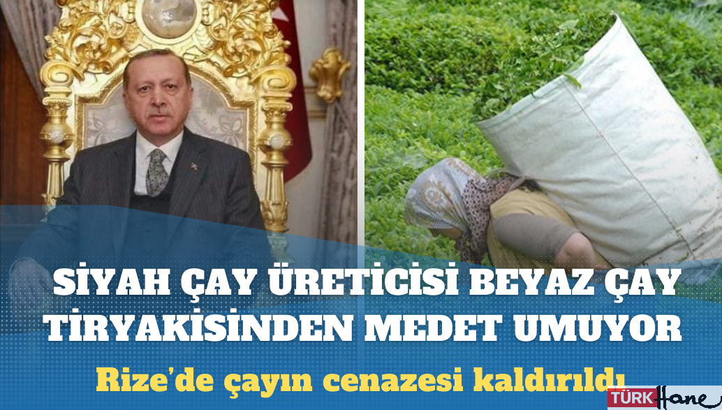 Siyah çay üreticisi beyaz çay tiryakisinden medet umuyor: Rize’de çayın cenazesi kaldırıldı