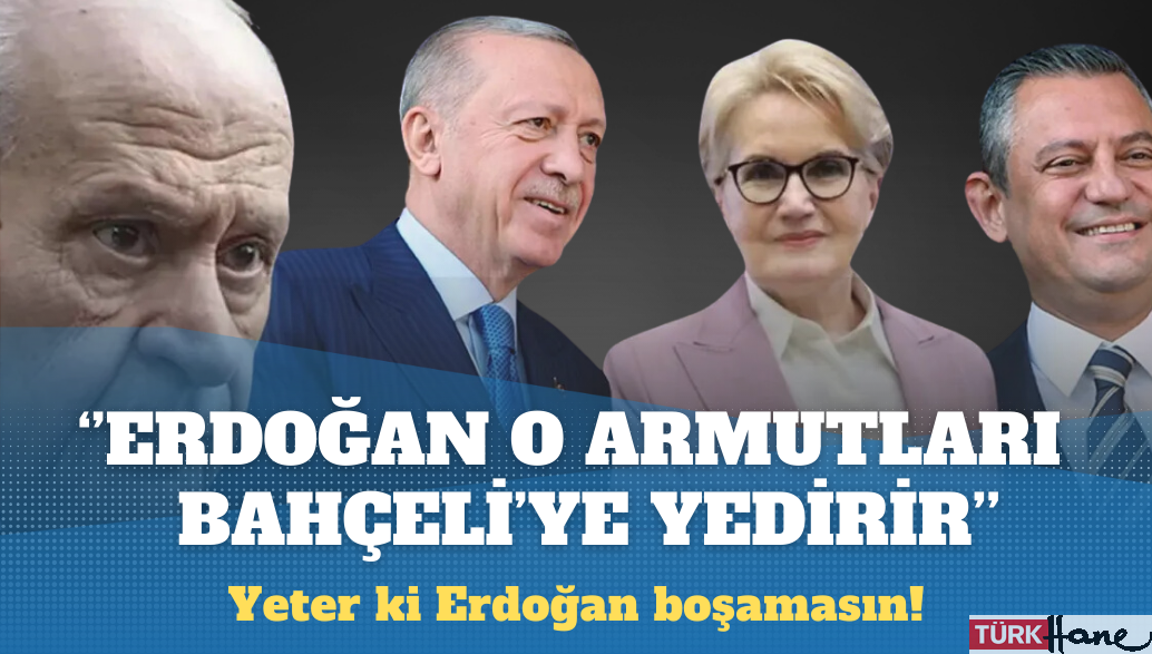 Erkam Tufan Aytav: Erdoğan, o armutları Bahçeli’ye yedirir