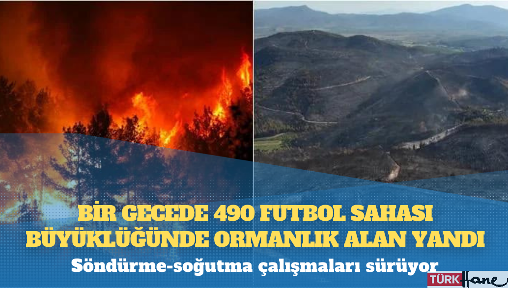 Bir gecede 490 futbol sahası büyüklüğünde ormanlık alan yandı