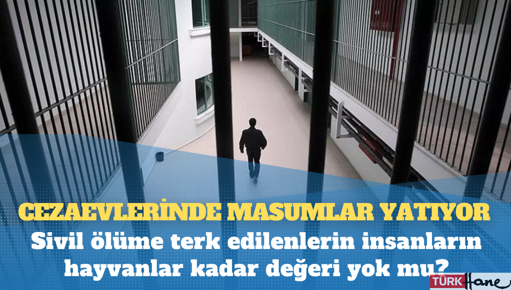 Sivil ölüme terk edilenlerin insanların hayvanlar kadar değeri yok mu?